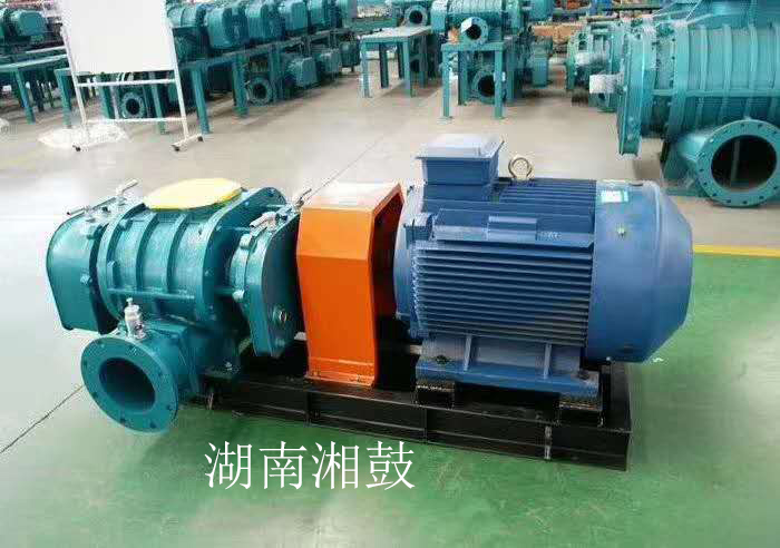 污水處理曝氣鼓風(fēng)機(jī)