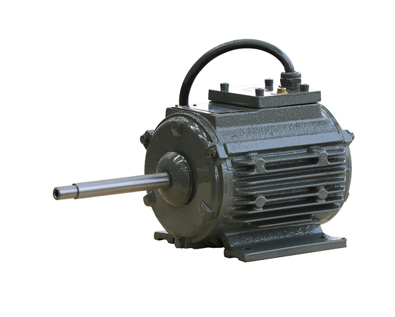機(jī)車(chē)輔機(jī)電機(jī)2