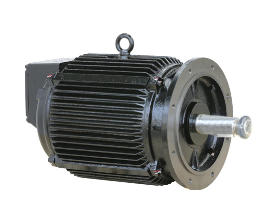 機(jī)車(chē)輔機(jī)電機(jī)4