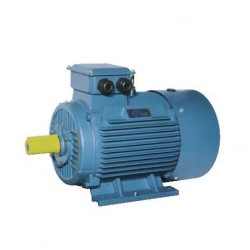 YE3系列電動機