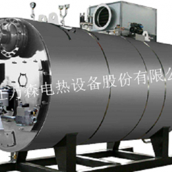 鍋爐電加熱器