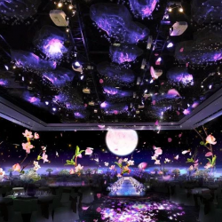5d全息光影宴會(huì)廳_3d全息婚禮_沉浸式投影