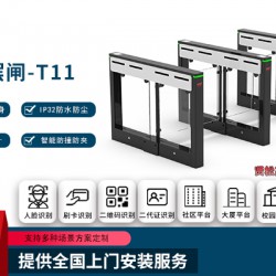 智能擺閘-T11