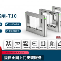 智能擺閘-T10